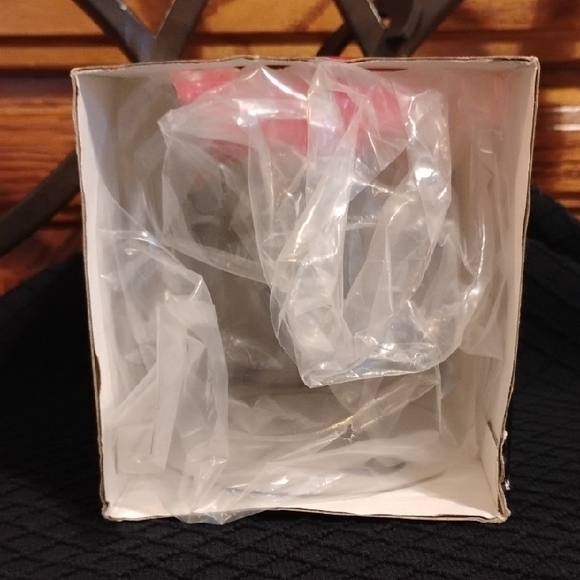 Coleman Lantern Replacement Globe – Glass – Excellent Condition - Picture 4 of 4